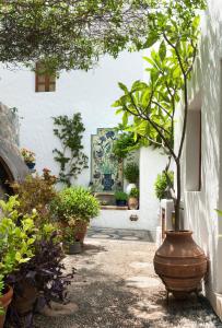 Giardino di Melenos Art Boutique Hotel