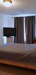 1 dormitorio con 1 cama y TV de pantalla plana en Comfy & Cosy Apartment, en Katowice