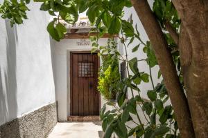 a door with a bunch of green plants in front of it at Casa Solana in Benadalid