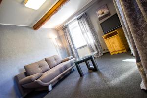 a living room with a couch and a television at Pension U Přístavu in Pomezí nad Ohří