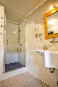 ein Bad mit einer Dusche und einem Waschbecken in der Unterkunft Pension U Přístavu in Pomezí nad Ohří