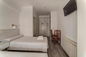 a bedroom with a bed and a desk and a television at Hostal Lar in Burgos