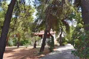 A garden outside Seaside Villa in Alikes, Chalkida