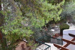 A garden outside Seaside Villa in Alikes, Chalkida