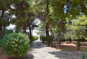 A garden outside Seaside Villa in Alikes, Chalkida