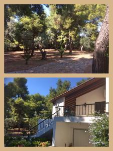 A garden outside Seaside Villa in Alikes, Chalkida
