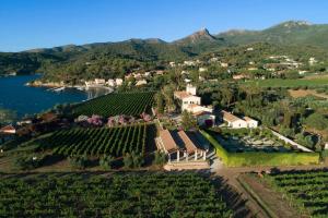 an aerial view of a vineyard in the mountains at Tenuta La Chiusa in Portoferraio