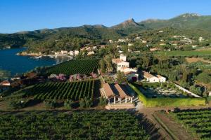 een luchtzicht op een wijngaard in de bergen bij Tenuta La Chiusa in Portoferraio