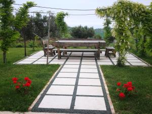 Zahrada ubytování Villa Borsacchio