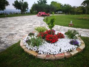 Zahrada ubytování Villa Borsacchio