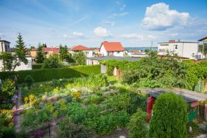 ビルカシにあるSpokojny Azyl - Wilkasyの植花の多い庭園