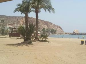 two palm trees on a sandy beach near the water at Home Star lll in Vera