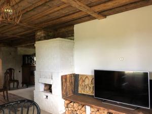 A television and/or entertainment centre at Boutique Country house - Aliteni