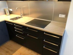 Kuchyňa alebo kuchynka v ubytovaní Apartmán Jestřáb