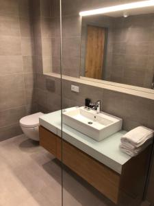 Kúpeľňa v ubytovaní Apartmán Jestřáb