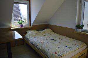 ギジツコにあるAgroturystyka 'Pod dębem'の窓2つが備わるドミトリールームのベッド1台分です。
