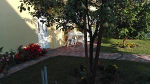 Zahrada ubytování Apartman Peric