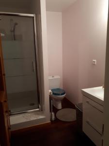 a bathroom with a toilet and a glass shower at Le Relais de la Praya in Lège-Cap-Ferret