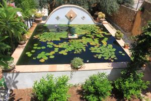 Gallery image of Oasi delle Succulente in Marsala