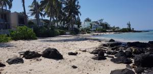 Paisagem natural perto do bed and breakfast