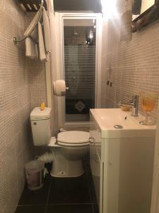 a bathroom with a toilet and a sink at Hôtel restaurant le delta in Saintes-Maries-de-la-Mer +19 photos