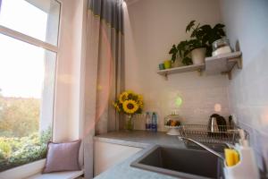 Kuchnia lub aneks kuchenny w obiekcie Proseco Apartments -Self check-in-