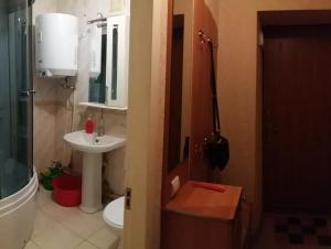 a bathroom with a sink and a toilet and a mirror at Two-bedroom apartment on Lenina avenue in Mykolaiv