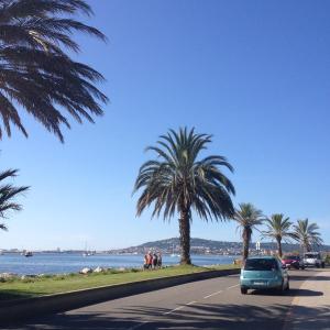 a car driving down a road with palm trees at Studio Hesperides in Balaruc-les-Bains