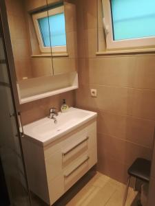 een badkamer met een wastafel en een spiegel bij Rainbow Lodge in Ursel