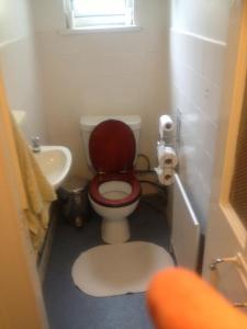 małą łazienkę z toaletą i umywalką w obiekcie Causeway Coast Independent Hostel w mieście Portstewart
