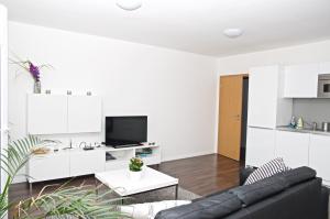 Televízia a/alebo spoločenská miestnosť v ubytovaní Apartment Husova
