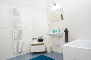 Kúpeľňa v ubytovaní Apartment Husova