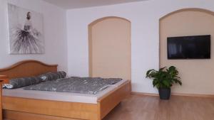 een slaapkamer met een bed en een flatscreen-tv bij Urige Ferienwohnung im Hafen Stralsunds in Stralsund