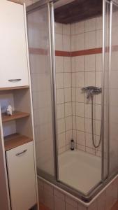 een douche in een badkamer met een bad bij Urige Ferienwohnung im Hafen Stralsunds in Stralsund