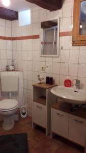 uma casa de banho com um WC e um lavatório em Urige Ferienwohnung im Hafen Stralsunds em Stralsund