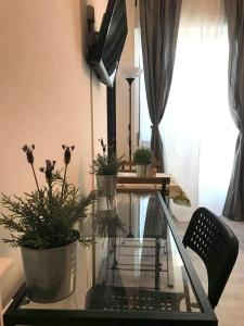 a glass table with two potted plants on top of it at Mandala Bed & Breakfast in Viterbo
