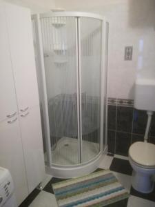 a shower stall in a bathroom with a toilet at Apartments Lea in Podstrana
