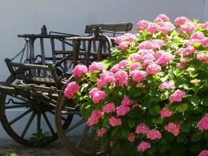 Ein Garten an der Unterkunft Hajós-ház