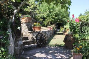 Jardín al aire libre en Authentic Chianti StoneHouse with Garden&Terrace