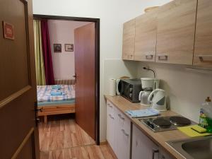 Kuchyň nebo kuchyňský kout v ubytování Apartments Helga