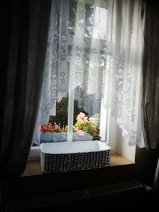 Fotografie z fotogalerie ubytování Venkovské apartmány Tiché pastviny v Kamenickém Šenově