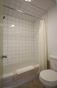 La salle de bains est pourvue d'une baignoire blanche et de toilettes. dans l'établissement Motel Marie-Dan, à Sainte-Eulalie