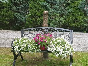 a bench with flowers on it in the grass at Domek Góralski Chatka Puchatka in Poronin