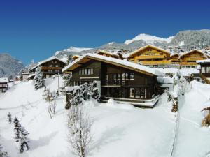 a ski lodge in the mountains in the snow at Apartment Adele - GRIWA RENT AG in Grindelwald