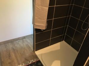 Jeuxeyにあるla Bergerieの黒いタイル張りの壁のバスルーム(シャワー付) +13枚の写真