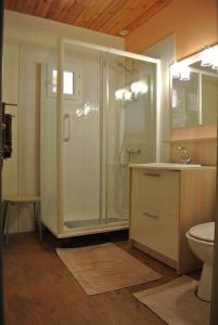 W łazience znajduje się prysznic, umywalka i toaleta. w obiekcie La Pénardière w mieście Saint-Étienne-de-Tulmont