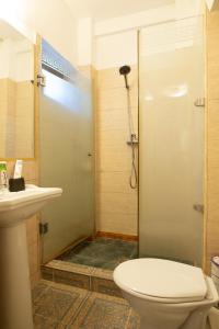 ブカレストにあるNicole's Apartmentのバスルーム(シャワー、トイレ、シンク付)
