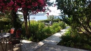 Afbeelding uit fotogalerij van Apartments Antica in Rab