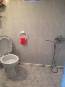 ein Bad mit einem WC und einem roten Handtuch in der Unterkunft Gorgadze Apartment in Bordschomi