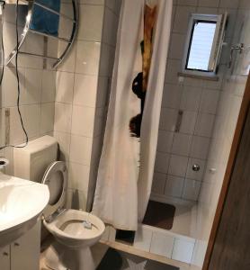 Koupelna v ubytování Apartments Mira